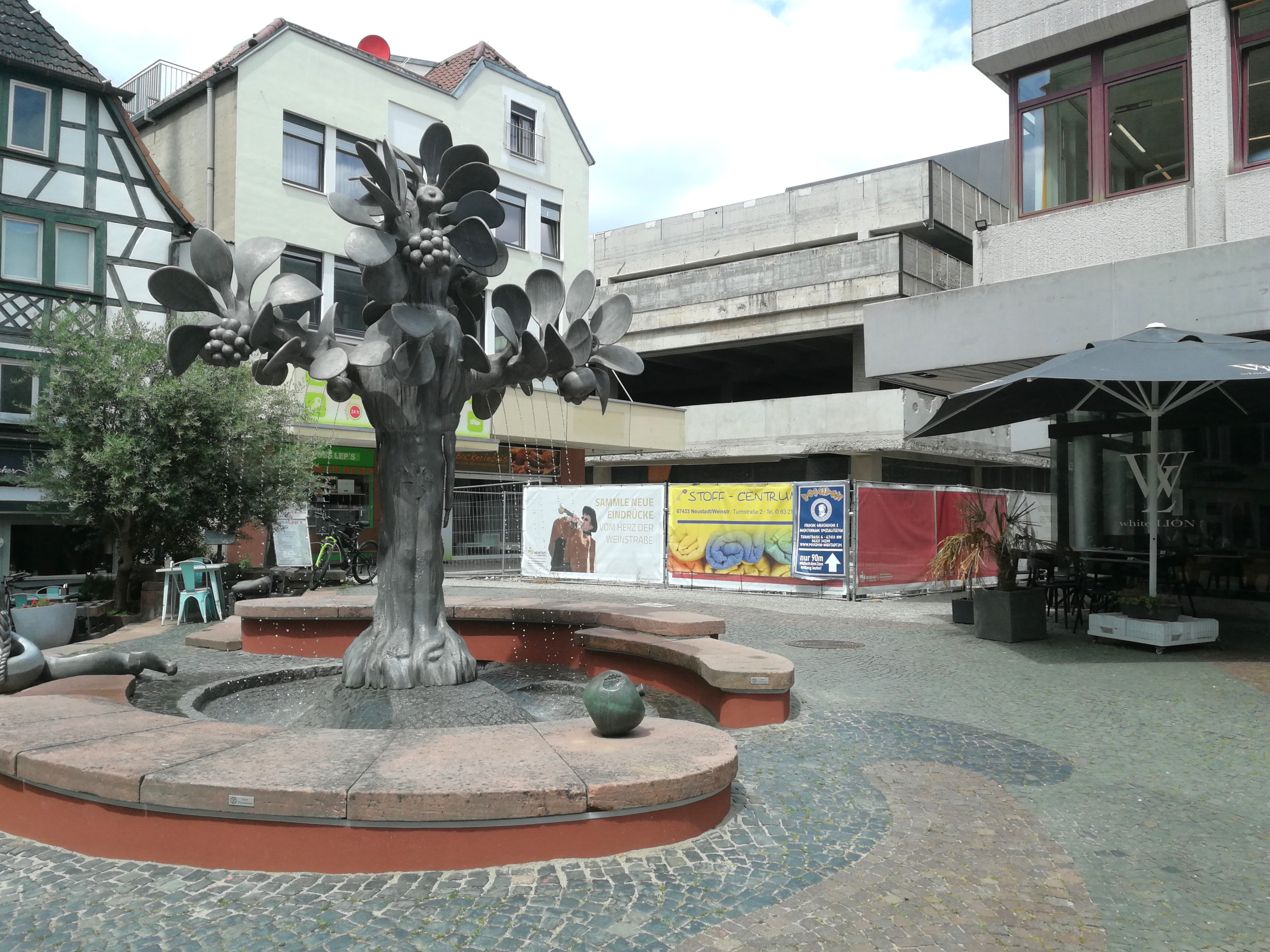 IMG 20250522 131508
