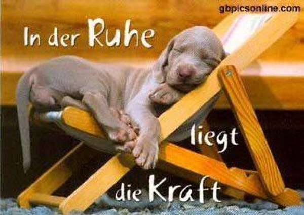 Ausstellung Denzinger-Pfalz